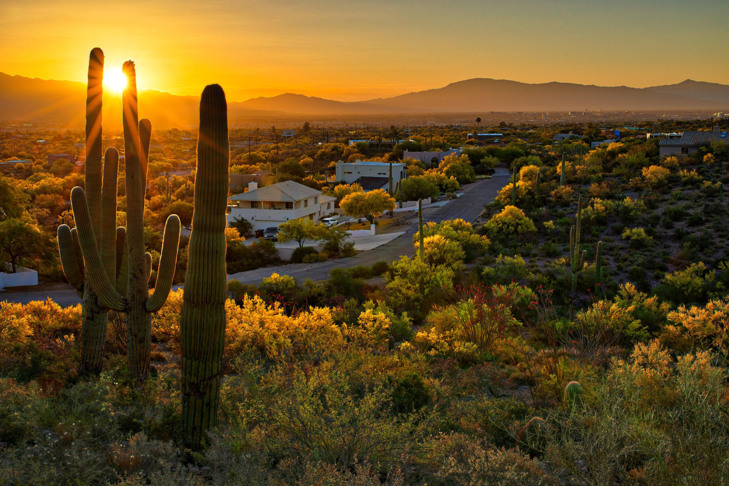 Arizona FirstTime Home Buyers Tips and Tricks Agave Home Loans